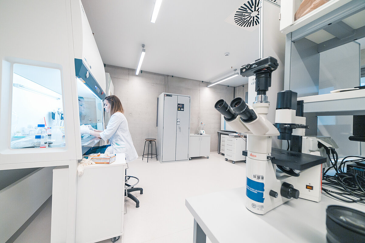 © Foto: Toms Grīnbergs, Latvijas Universitātes Komunikācijas departaments