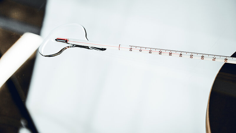 Quo vadis? Eiropas jaunie zinātnieki Rīgā formulēs redzējumu par tuvāko desmitgadi jonu šķidrumu pētniecībā