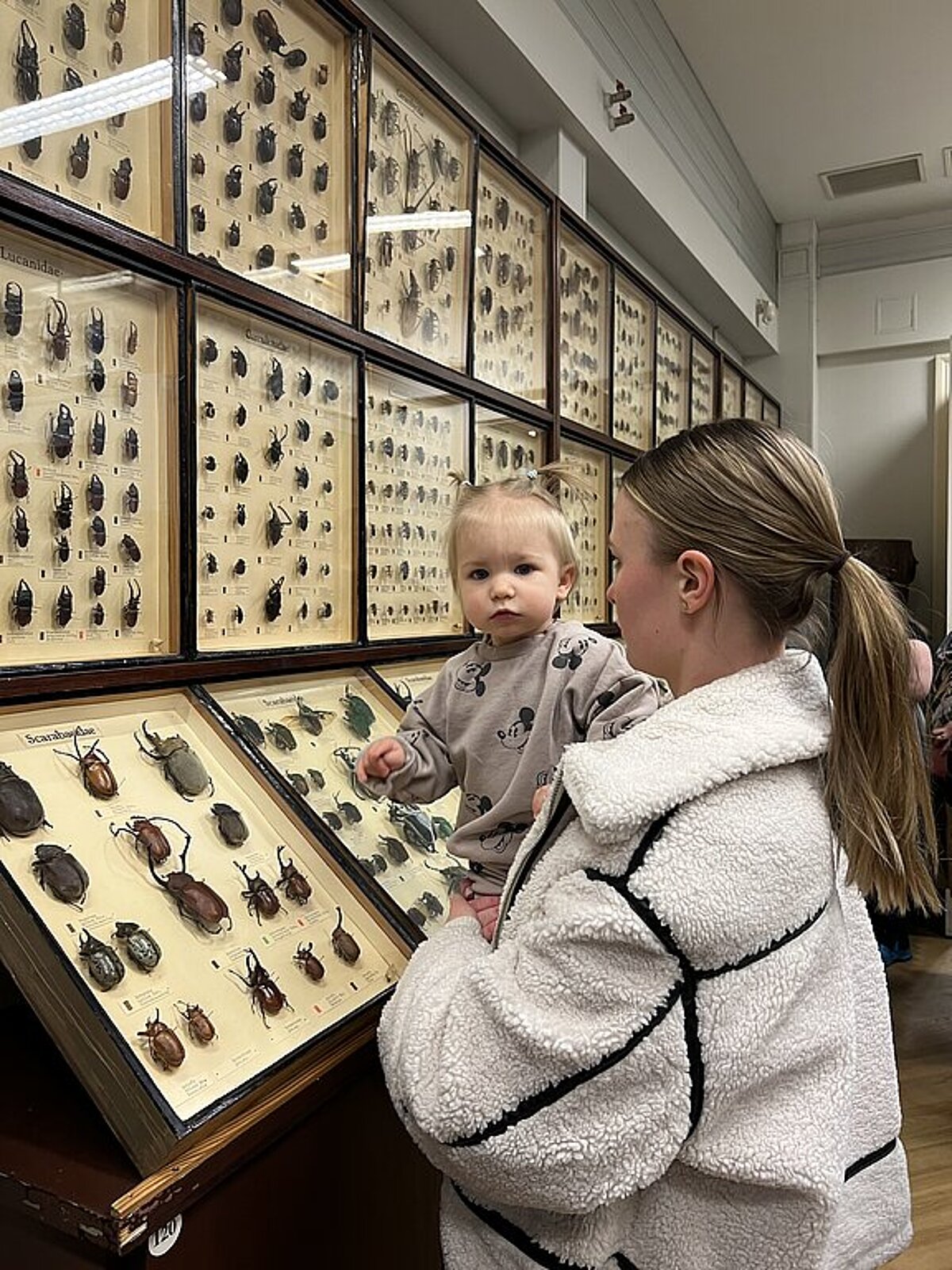 Foto: Sarmīte Livdāne Foto: Sarmīte Livdāne