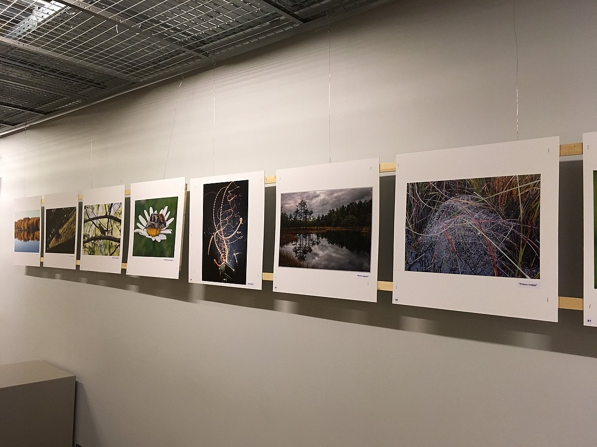 Fotokonkurss "Mana šī gada labākā dabas bilde 2017"