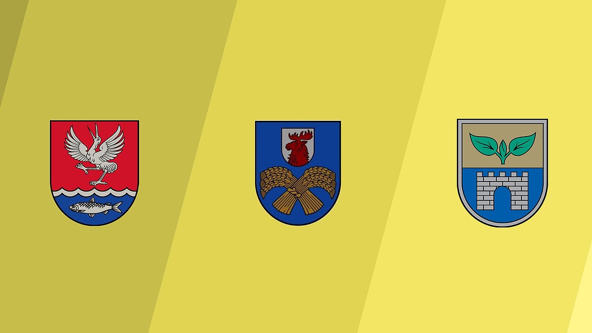 With the administrative support of the UL Foundation, Engure, Jelgava and Salaspils municipality scholarships are awarded to young applicants to facilitate their studies.