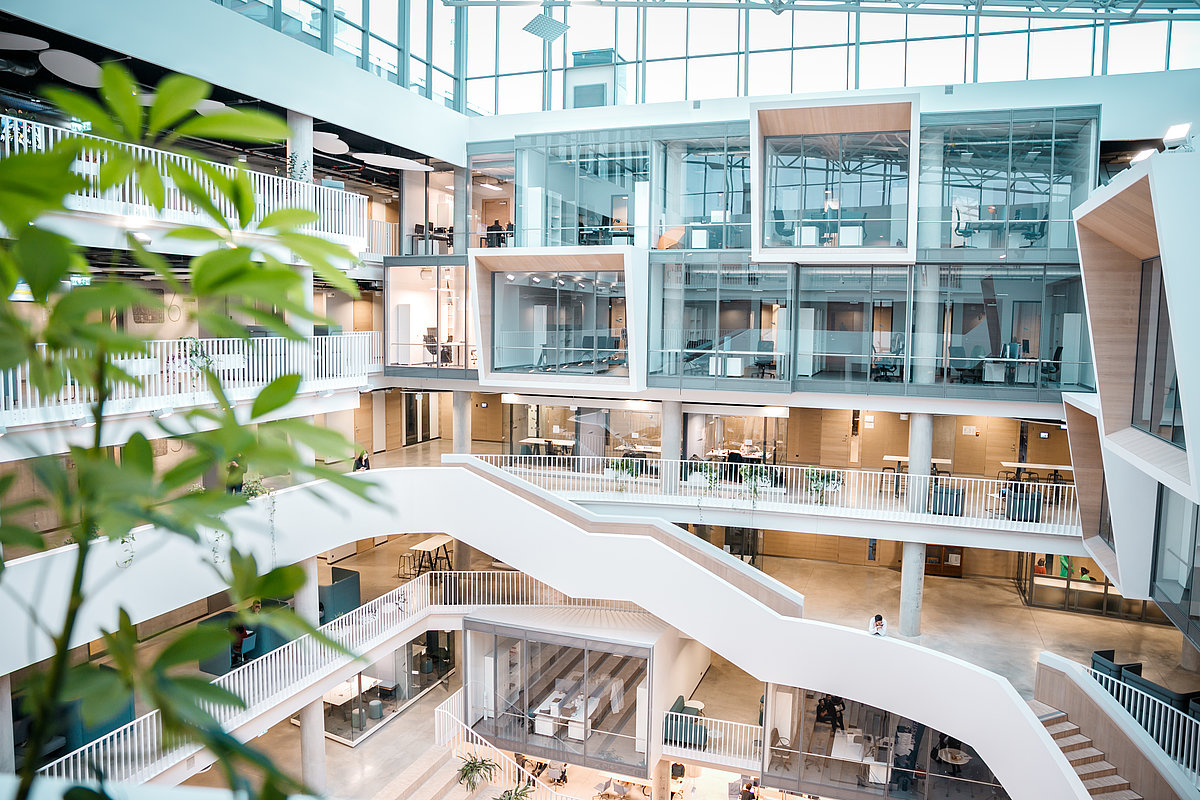 Foto: Toms Grīnbergs, Latvijas Universitāte.