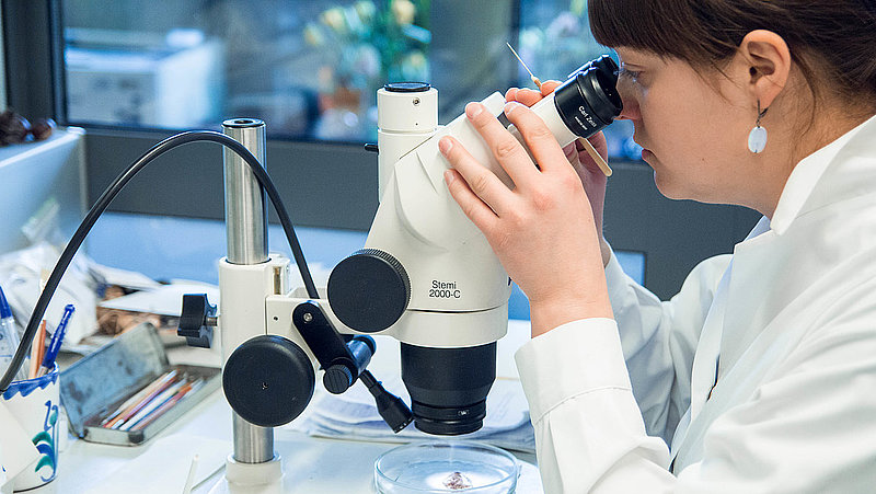 Studē doktorantūrā - veidosim medicīnas un veselības zinātni kopā!